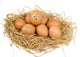 Star Egg Wall Decal