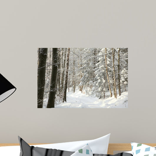 Forest Path Among Trees Wall Decal