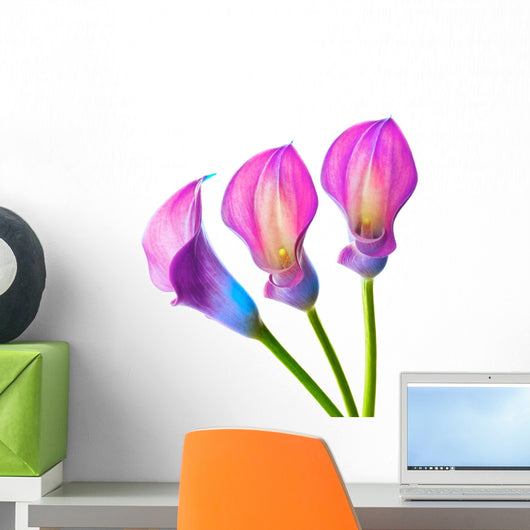 Callas Wall Decal