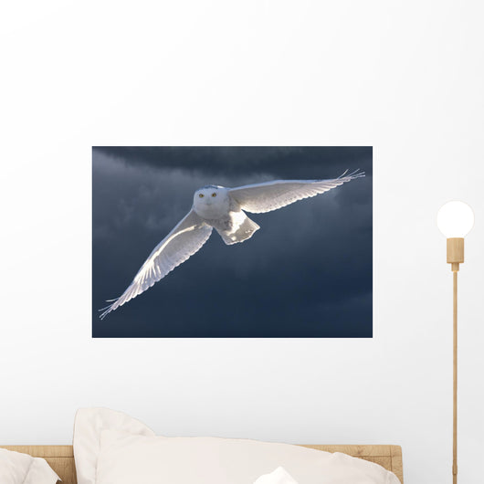 Snowy Owl Flight Against Clouded Sky Wall Decal