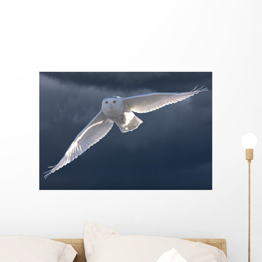 Snowy Owl Flight Against Clouded Sky Wall Decal