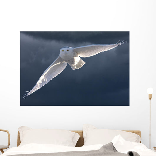 Snowy Owl Flight Against Clouded Sky Wall Decal