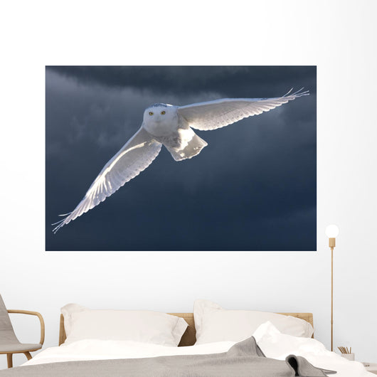 Snowy Owl Flight Against Clouded Sky Wall Decal