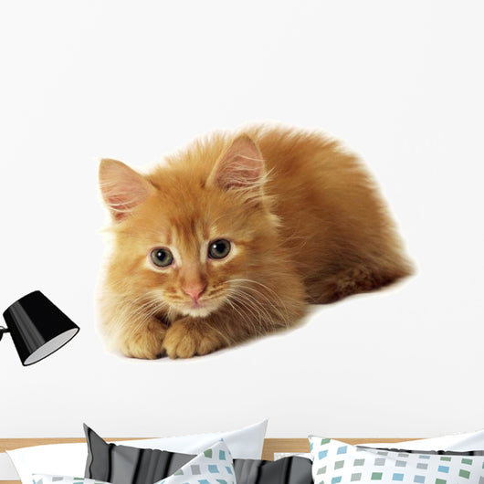 Little Ginger Cat Wall Decal