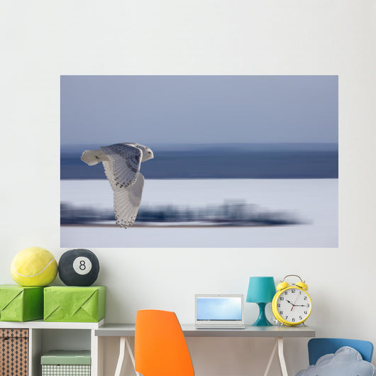 Snowy Owl Flight Distant Wall Decal