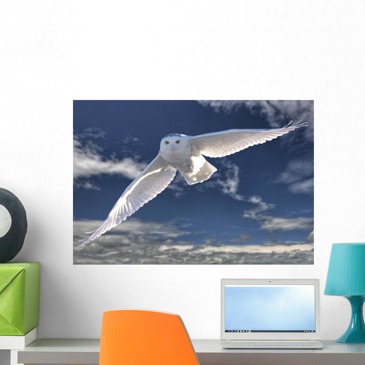 Snowy Owl Flight Against Blue Sky Wall Decal