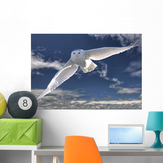 Snowy Owl Flight Against Blue Sky Wall Decal