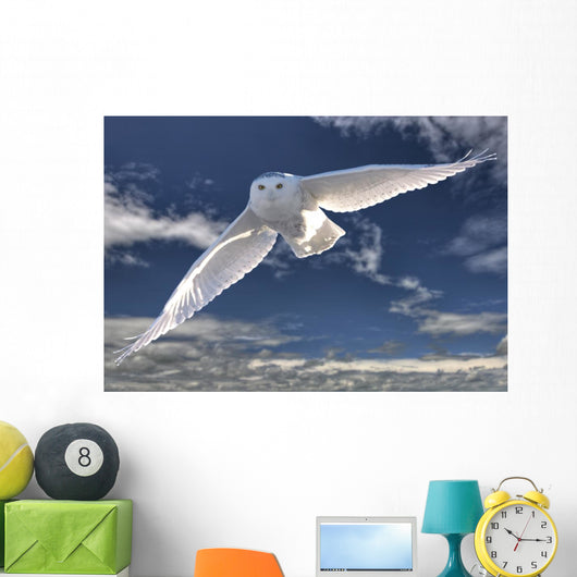 Snowy Owl Flight Against Blue Sky Wall Decal