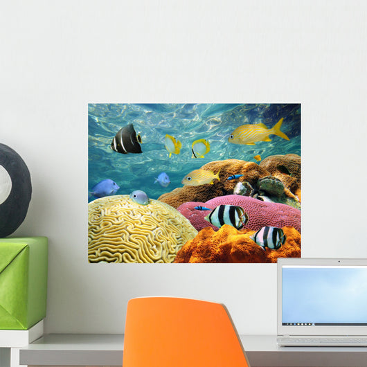 Underwater Surface Wall Decal
