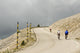 Cycling Mont Ventoux Provence Wall Decal