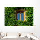 Overgrown French Window Wall Decal