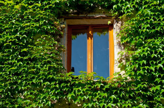 Overgrown French Window Wall Decal