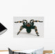 Brazilian Whiteknee Tarantula Wall Decal