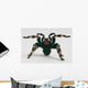 Brazilian Whiteknee Tarantula Wall Decal