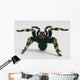 Brazilian Whiteknee Tarantula Wall Decal