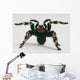 Brazilian Whiteknee Tarantula Wall Decal