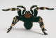 Brazilian Whiteknee Tarantula Wall Decal