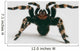 Brazilian Whiteknee Tarantula Wall Decal