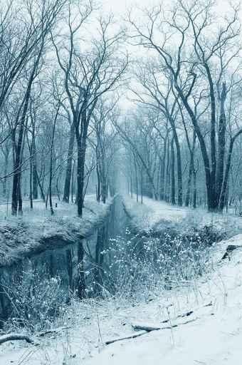 Snowy Stream Woods Wall Decal