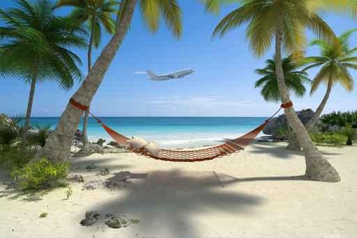 Caribbean Hammock Tied Between Two Trees Wall Decal