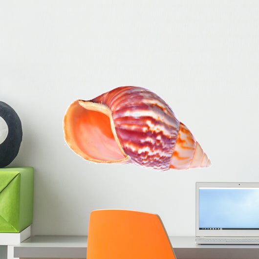 Colorful Mollusk Shell Opening Wall Decal