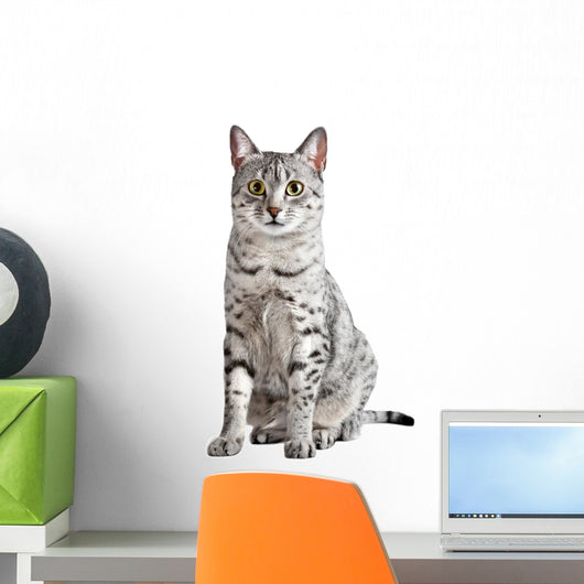 Spotted Egyptian Mau Cat Wall Decal