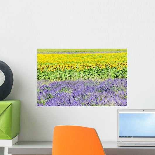 Lavender And Sunflower Fields Wall Decal