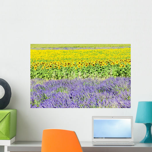 Lavender And Sunflower Fields Wall Decal