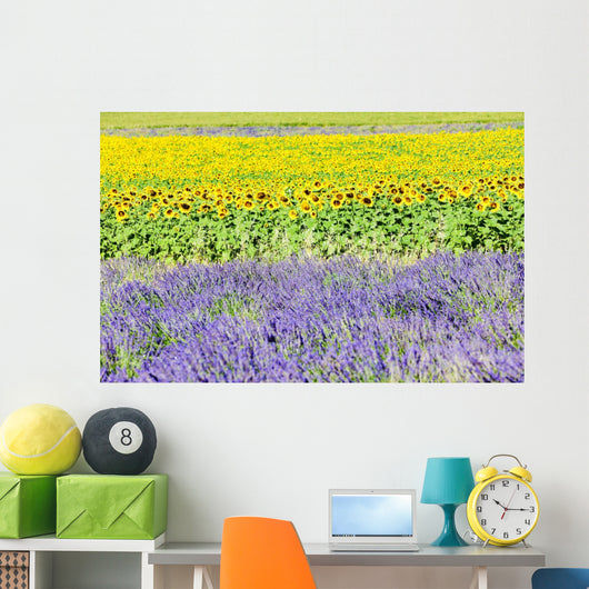 Lavender And Sunflower Fields Wall Decal