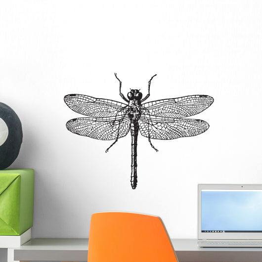 Fig 1 Dragonflies Vintage Wall Decal