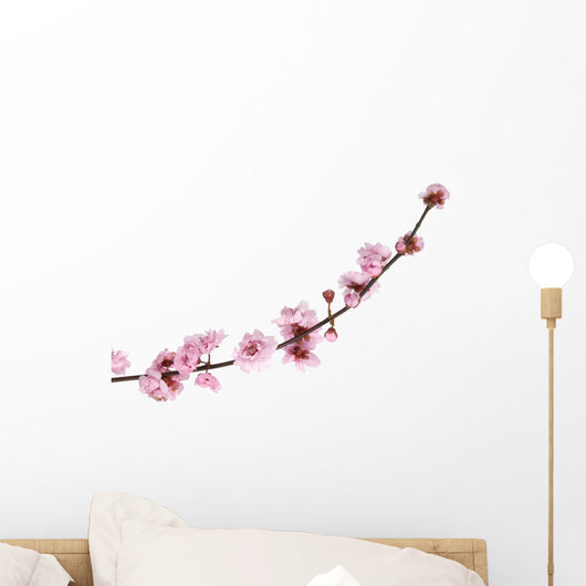 Pink Cherry Blossom White Wall Decal