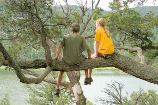 Lookouts Wall Decal