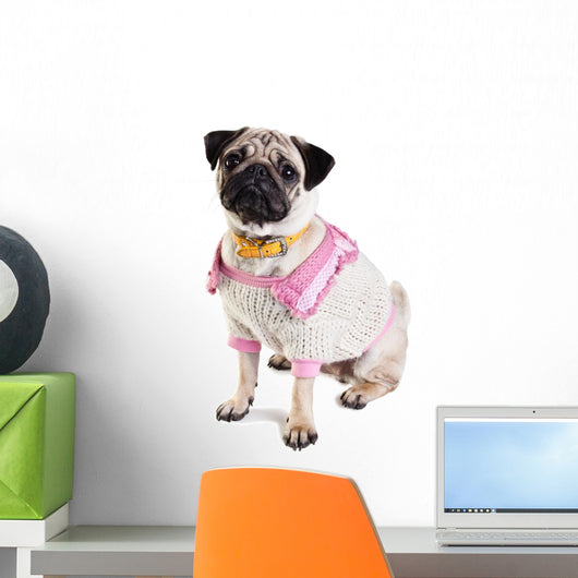 Baby Mops Dressed Sweater Wall Decal