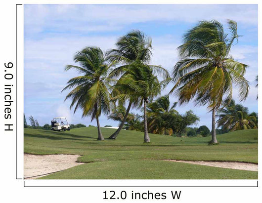 Golf Course Caribbean Wall Decal