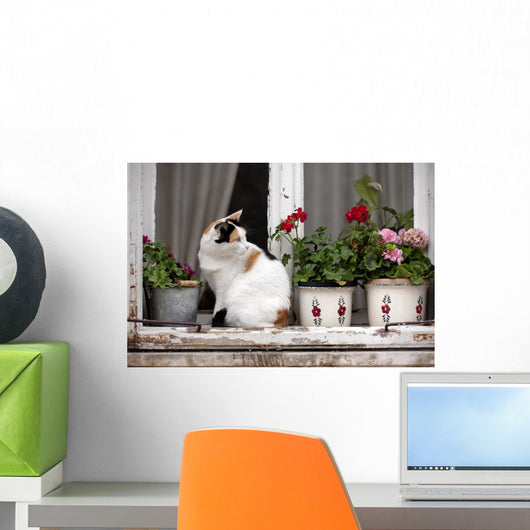 Spotted Cat Window Wall Decal