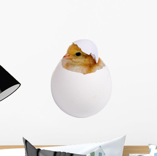 Chicken Shell Wall Decal