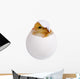 Chicken Shell Wall Decal