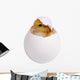 Chicken Shell Wall Decal