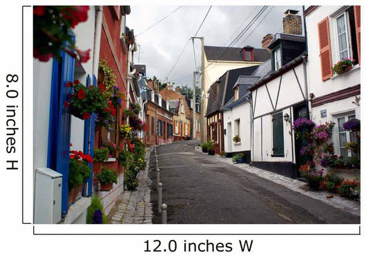 Street with Flowers France