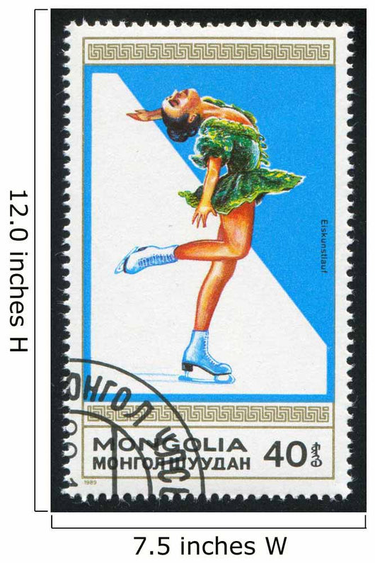figure skate Wall Mural