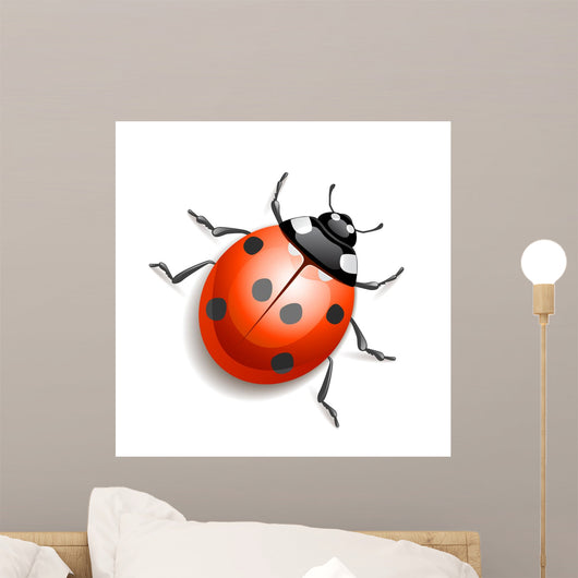 Ladybird