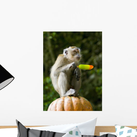 Monkey Eating Ice Cream