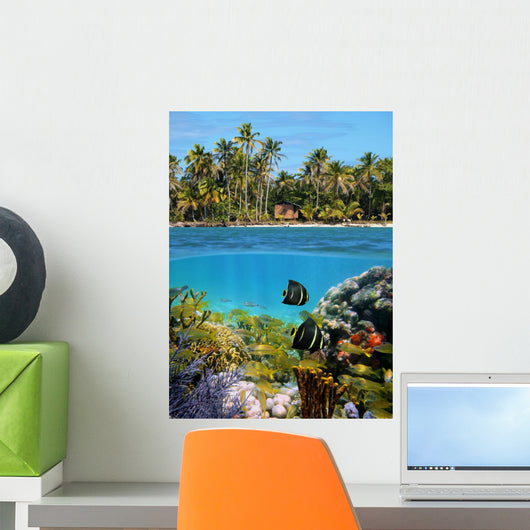Sealife and Tropical Beach