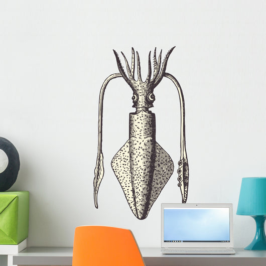 Calmar (loligo vulgaris) Wall Decal