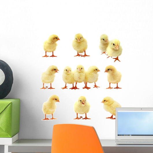 Easter Chick - Isolated Set Wall Decal