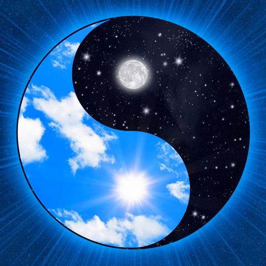Yin Yang Symbol Wigh