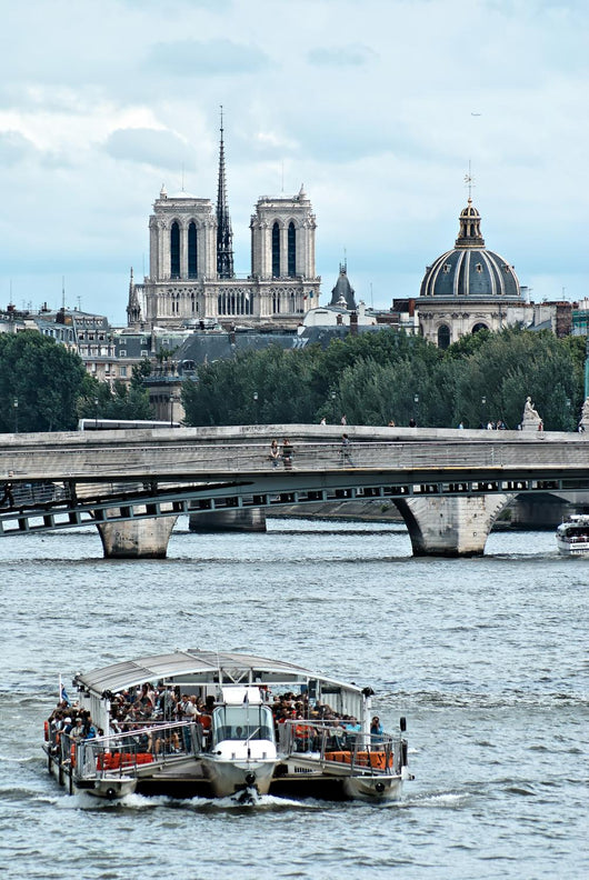View of the Seine in Paris Wall Mural