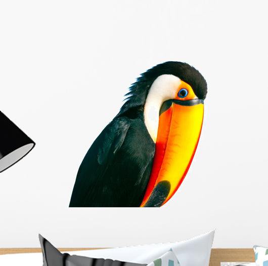 Colorful Toucan Parrot with