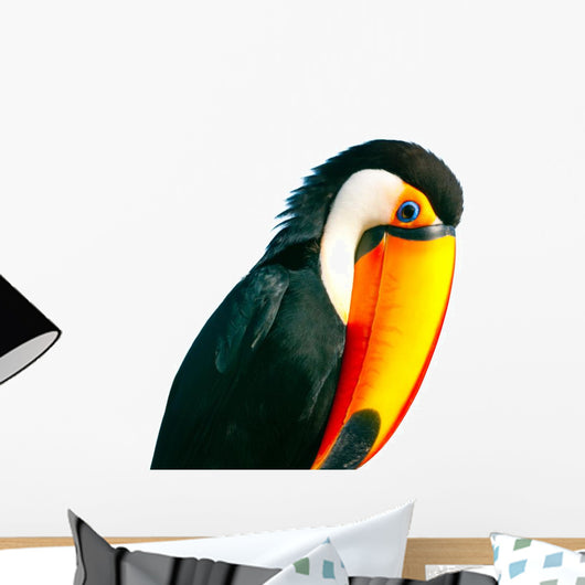Colorful Toucan Parrot with