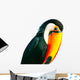 Colorful Toucan Parrot with